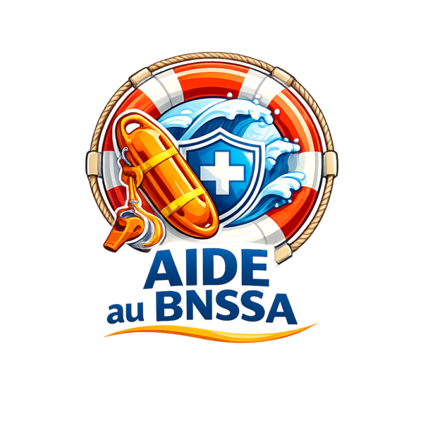 aide bnssa