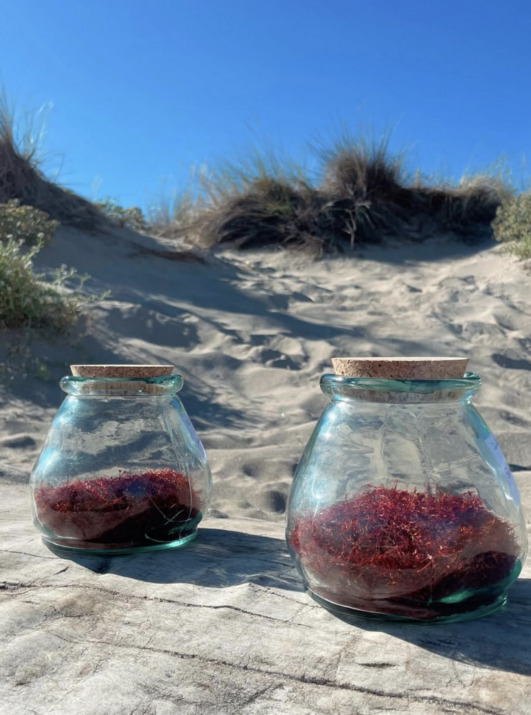 Capture d’écran 2026-06-23 à 13 47 28