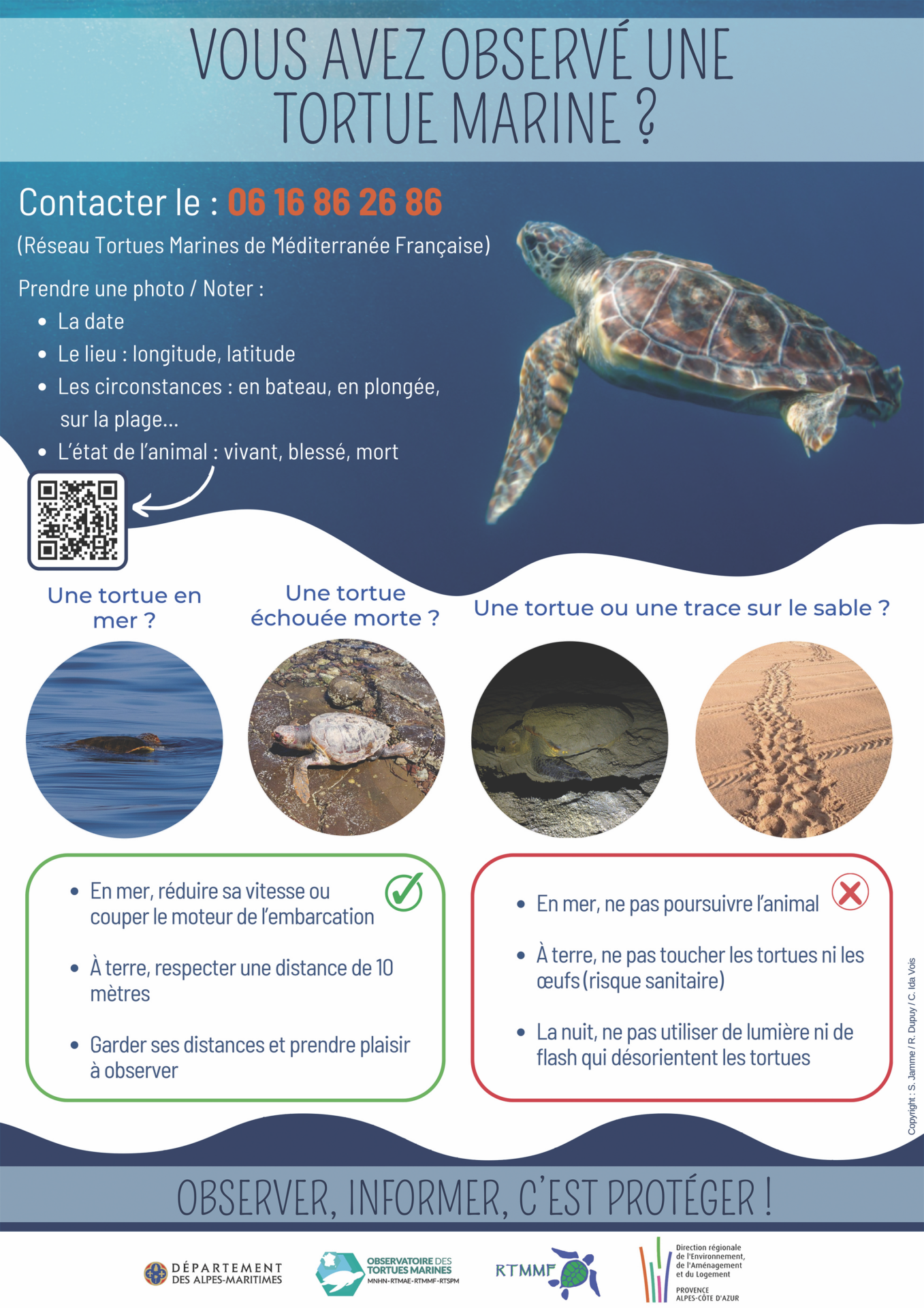 Copie de ObsTortueMed - 2024 - AM - A4