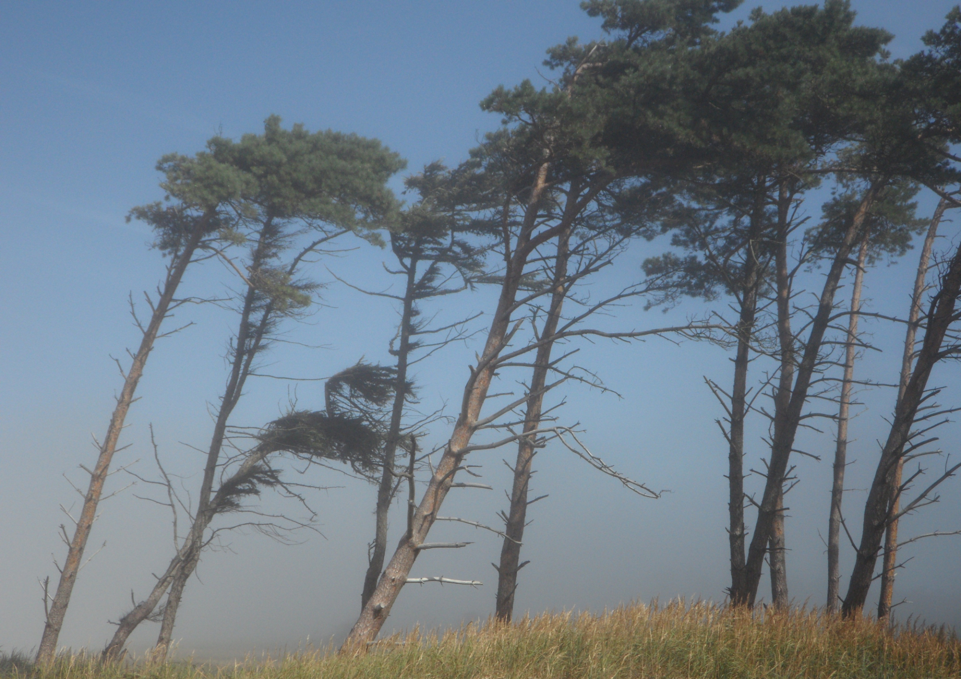 Modif photos paysage 10 