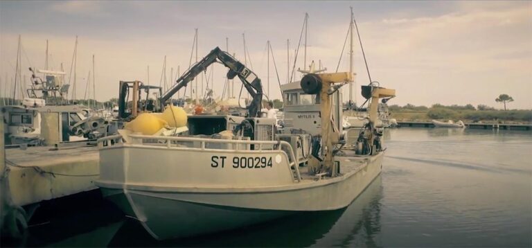 producteur-coquillages-huitres-moules-fruits-de-mer-culture-marine-vendres-01